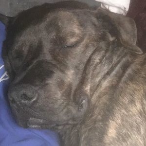 Meet your Posher, Jacquie